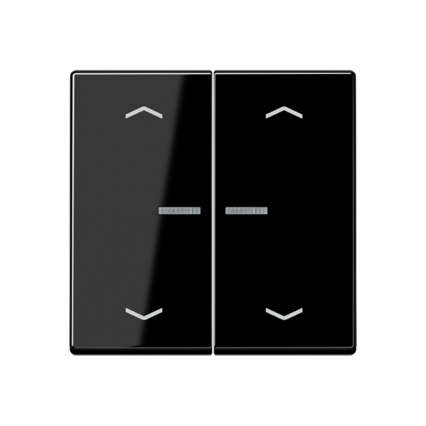 Jung BTA17102PSW JUNG HOME Taster 2-fach mit Pfeilsymbolen Duroplast Serie A schwarz
