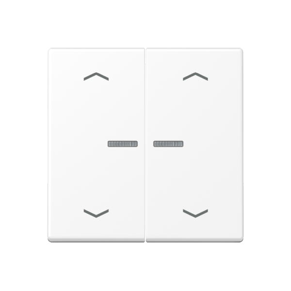 Jung BTA17102PWWM JUNG HOME Taster 2-fach mit Pfeilsymbolen Thermoplast lackiert Serie A schneeweiß matt