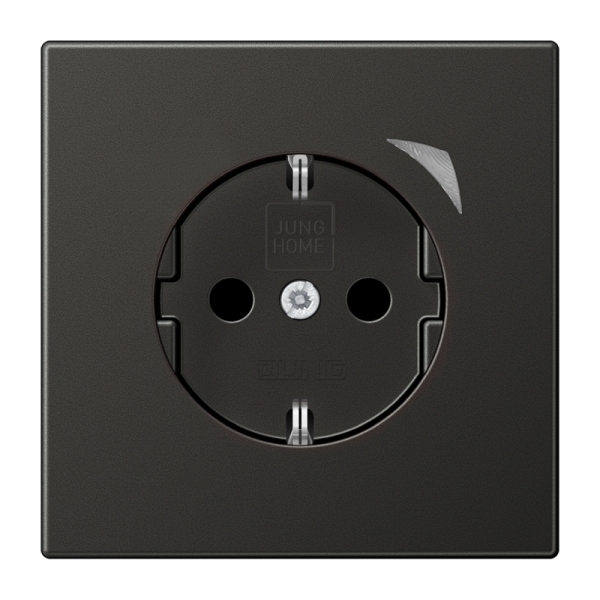 Jung BTAL1521SEAN-L SCHUKO Steckdose 16A 250V Schraubklemmen mit Funktionsanzeige integrierter erhöhter Berührungsschutz SAFETY+ Thermoplast lackiert Serie LS,