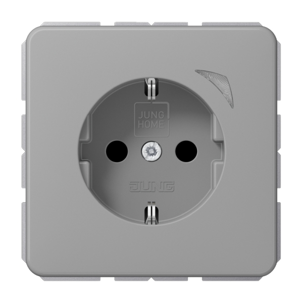 Jung BTCD1521SEGR SCHUKO Steckdose 16A 250V Schraubklemmen mit Funktionsanzeige integrierter erhöhter Berührungsschutz SAFETY+ Duroplast Serie CD grau