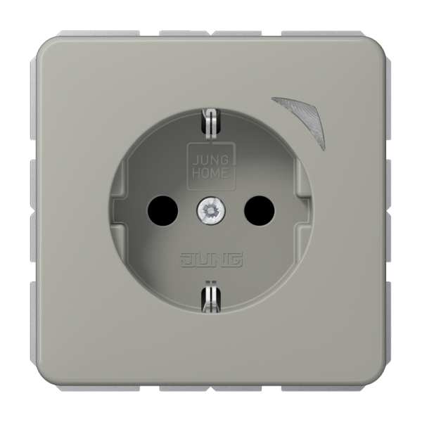 Jung BTCD1521SPT SCHUKO Steckdose 16A 250V Schraubklemmen mit Funktionsanzeige integrierter erhöhter Berührungsschutz SAFETY+ Thermoplast lackiert Serie CD,