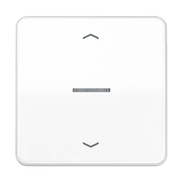 Jung BTCD17101PWW JUNG HOME Taster 1-fach mit Pfeilsymbolen Duroplast Serie CD alpinweiß