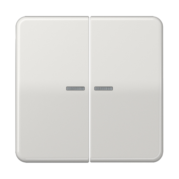 Jung BTCD17102LG JUNG HOME Taster 2-fach Duroplast Serie CD lichtgrau