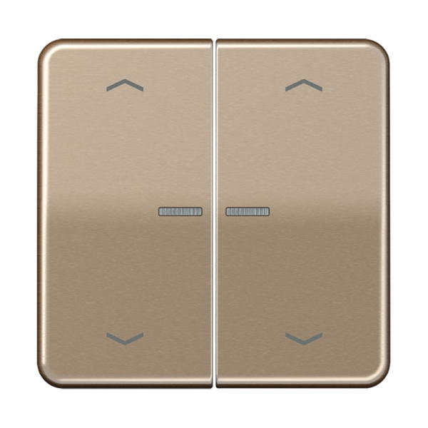 Jung BTCD17102PGB JUNG HOME Taster 2-fach mit Pfeilsymbolen Aluminium eloxiert Serie CD gold-bronze