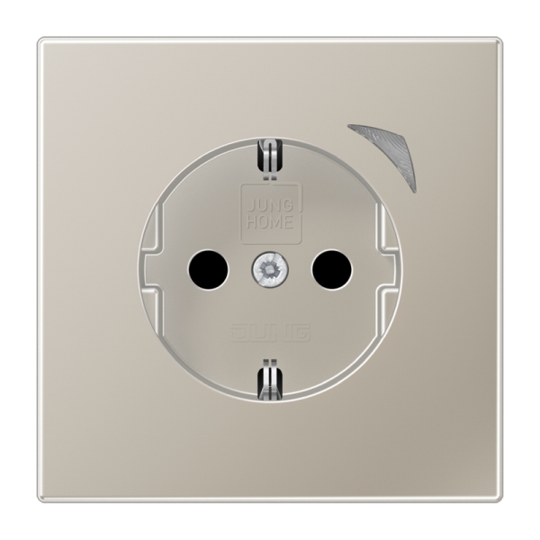 Jung BTES1521S-L SCHUKO Steckdose 16A 250V Schraubklemmen mit Funktionsanzeige integrierter erhöhter Berührungsschutz SAFETY+ Thermoplast lackiert Serie LS,