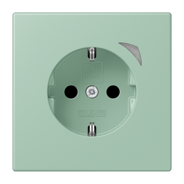 Jung BTLC1521S217 JUNG HOME Schuko Steckdose 16A 250V Schraubklemmen mit Funktionsanzeige integrierter erhöhter Berührungsschutz SAFETY+ Thermoplast lackiert
