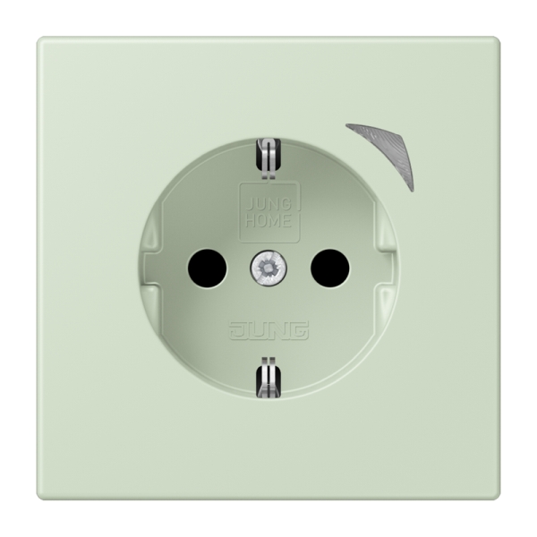 Jung BTLC1521S218 JUNG HOME Schuko Steckdose 16A 250V Schraubklemmen mit Funktionsanzeige integrierter erhöhter Berührungsschutz SAFETY+ Thermoplast lackiert