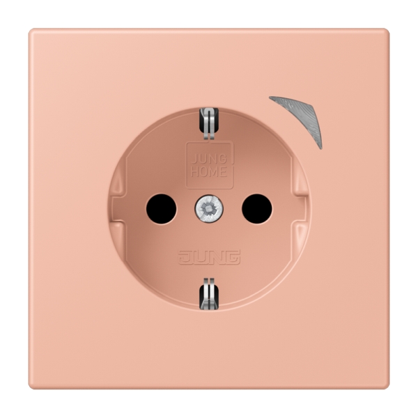 Jung BTLC1521SE231 JUNG HOME Schuko Steckdose 16A 250V Energy Schraubklemmen mit Funktionsanzeige integrierter erhöhter Berührungsschutz SAFETY+ Thermoplast