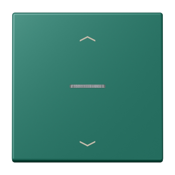 Jung BTLC17101P216 JUNG HOME Taster 1-fach mit Pfeilsymbolen Serie LS vert anglais