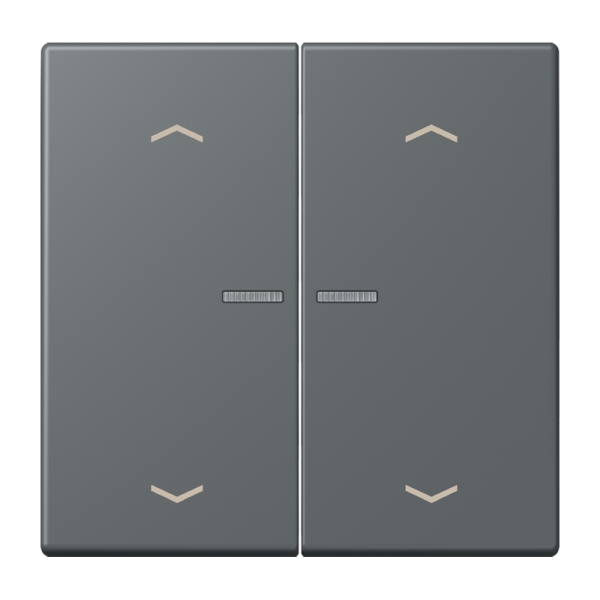 Jung BTLC17102P202 JUNG HOME Taster 2-fach mit Pfeilsymbolen Serie LS gris foncé 31