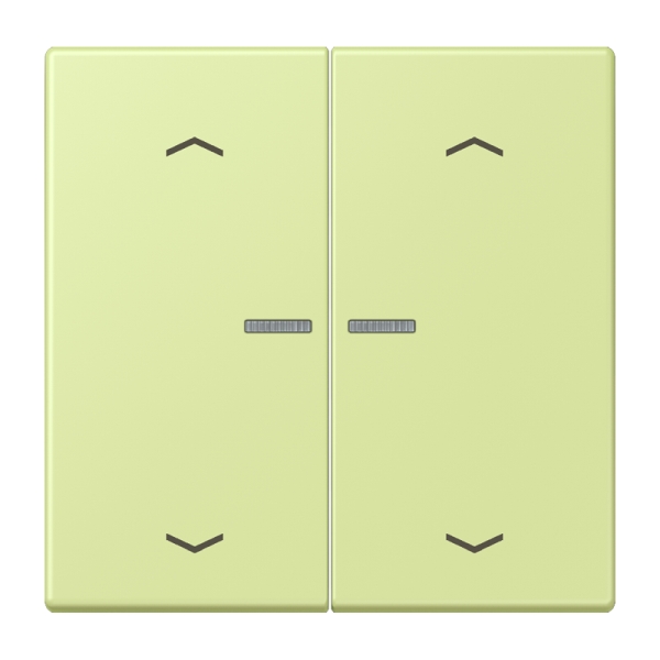 Jung BTLC17102P222 JUNG HOME Taster 2-fach mit Pfeilsymbolen Serie LS vert jaune clair