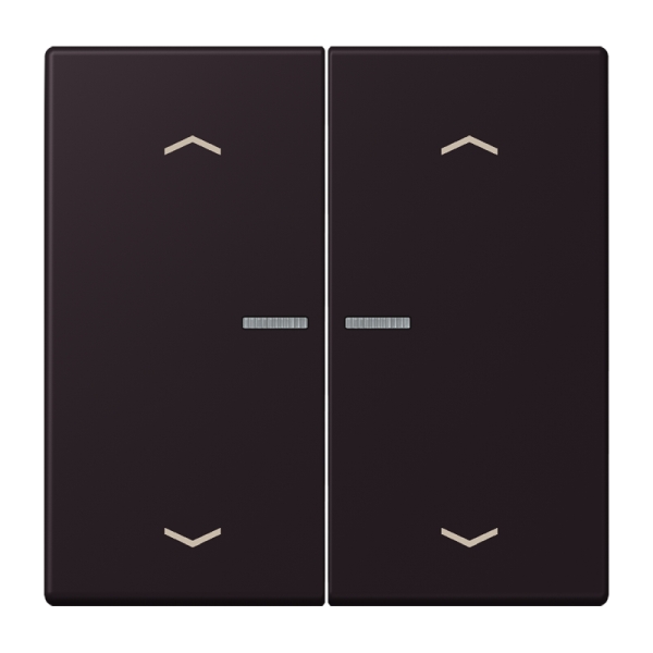 Jung BTLC17102P248 JUNG HOME Taster 2-fach mit Pfeilsymbolen Serie LS noir d'ivoire