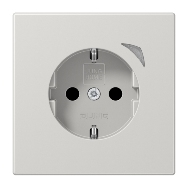 Jung BTLS1521SLG SCHUKO Steckdose 16A 250V Schraubklemmen mit Funktionsanzeige integrierter erhöhter Berührungsschutz SAFETY+ Thermoplast Serie LS lichtgra