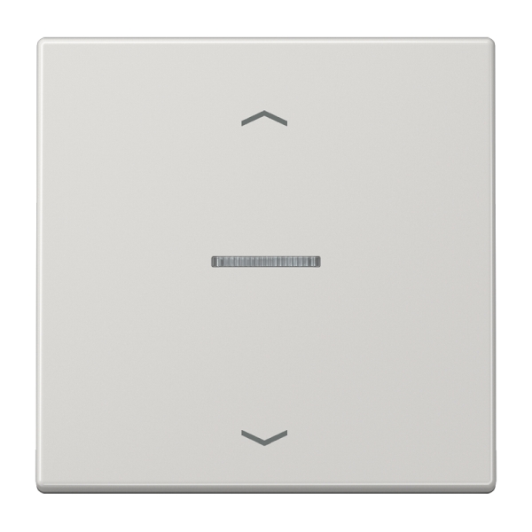 Jung BTLS17101PLG JUNG HOME Taster 1-fach mit Pfeilsymbolen Duroplast Serie LS lichtgrau