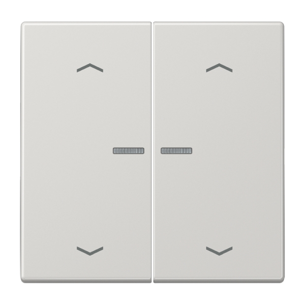 Jung BTLS17102PLG JUNG HOME Taster 2-fach mit Pfeilsymbolen Duroplast Serie LS lichtgrau