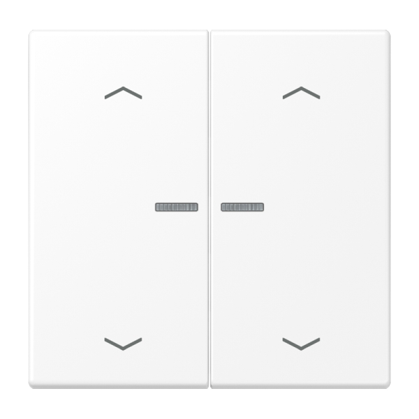 Jung BTLS17102PWWM JUNG HOME Taster 2-fach mit Pfeilsymbolen Serie LS schneeweiß matt