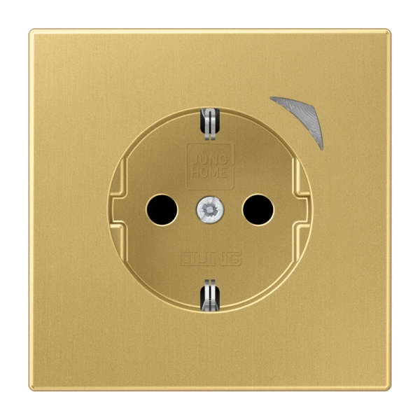 Jung BTME1521SEC-L SCHUKO Steckdose 16A 250V Schraubklemmen mit Funktionsanzeige integrierter erhöhter Berührungsschutz SAFETY+ Thermoplast lackiert Serie LS,
