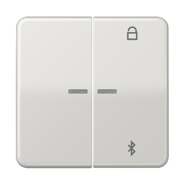 Jung CD1751BTLG LB-ManagementTimer Universal Bluetooth® Duroplast Serie CD lichtgrau