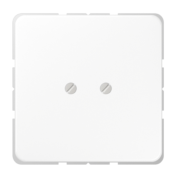 Jung CD561BWW Blind-Abdeckung (geschraubt) Duroplast Serie CD alpinweiß