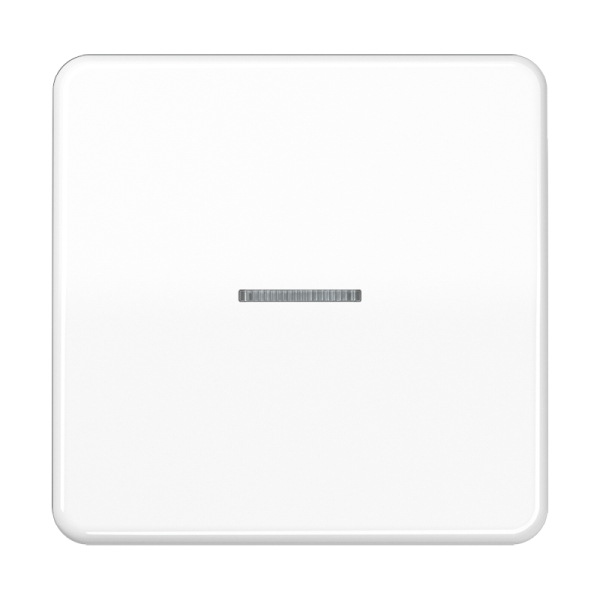 Jung CD590KO5WW Wippe 1-fach mit Lichtleiter Duroplast Serie CD alpinweiß