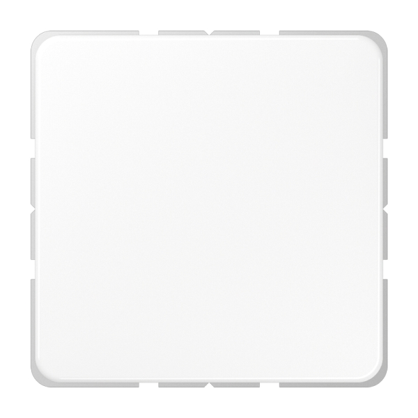 Jung CD594-0WW Blind-Abdeckung (gerastet) Thermoplast Serie CD alpinweiß
