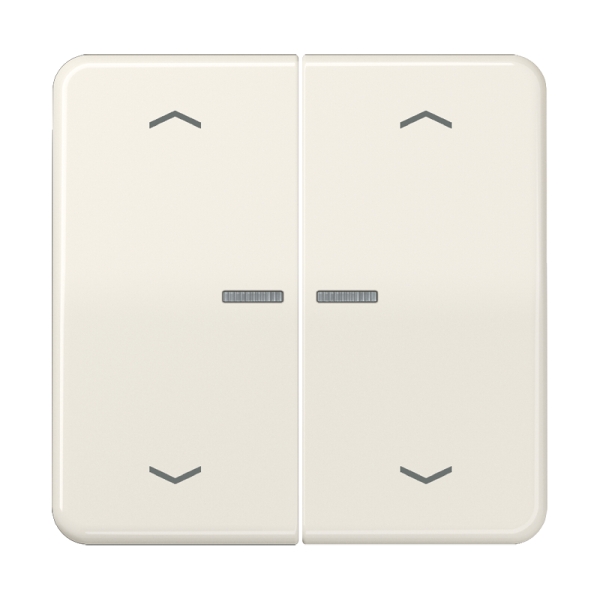 Jung CD595KO5MP Wippe 2-fach mit Lichtleiter mit 4 Pfeilsymbolen Duroplast Serie CD cremeweiß