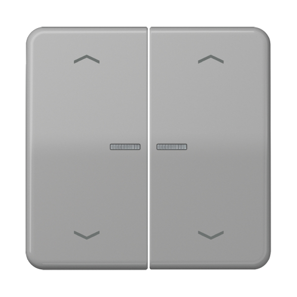 Jung CD595KO5MPGR Wippe 2-fach mit Lichtleiter mit 4 Pfeilsymbolen Duroplast Serie CD grau