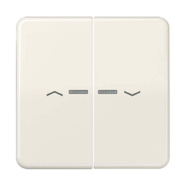 Jung CD595KO5P Wippe 2-fach mit Lichtleiter mit Pfeilsymbolen Duroplast Serie CD cremeweiß