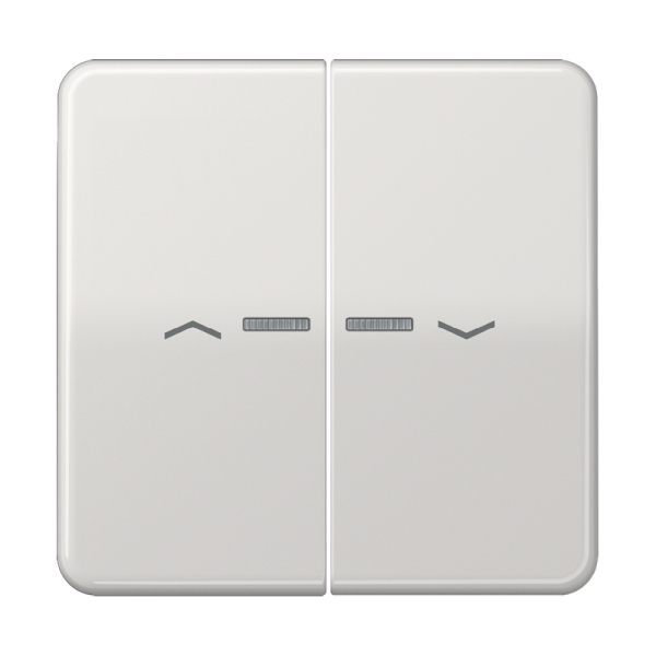 Jung CD595KO5PLG Wippe 2-fach mit Lichtleiter mit Pfeilsymbolen Duroplast Serie CD lichtgrau