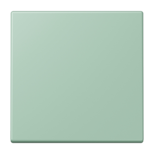 Jung ENOLC990217 EnOcean Funk-Wandsender 2-kanalig Serie LS vert anglais clair