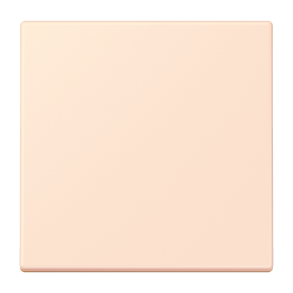 Jung ENOLC990226 EnOcean Funk-Wandsender 2-kanalig Serie LS orange pâle