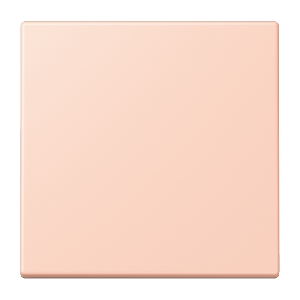 Jung ENOLC990234 EnOcean Funk-Wandsender 2-kanalig Serie LS l'ocre rouge clair