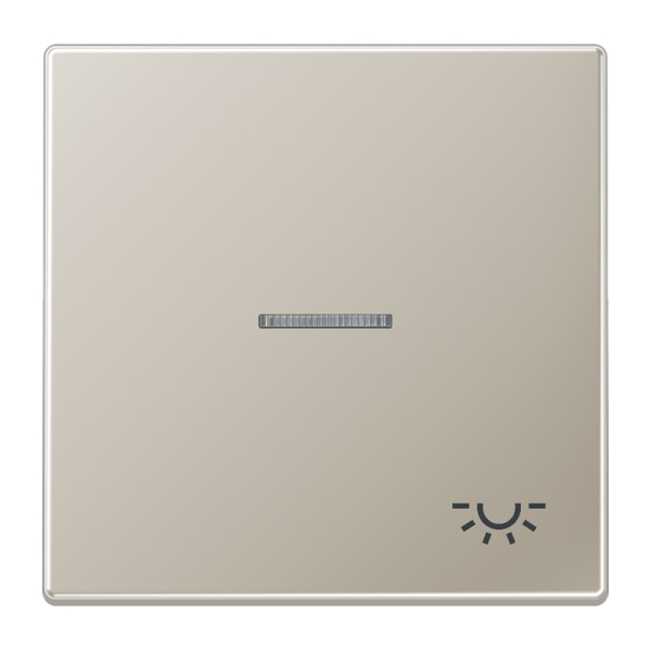 Jung ES2990KO5L Wippe 1-fach mit Lichtleiter Symbol Licht Serie LS Edelstahl