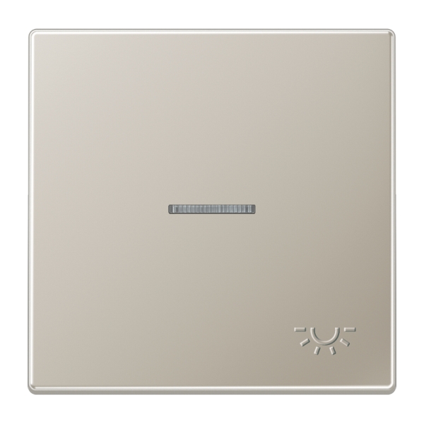 Jung ES2990KO5LP Wippe 1-fach mit Lichtleiter mit abtastbarem Symbol Licht Serie LS Edelstahl