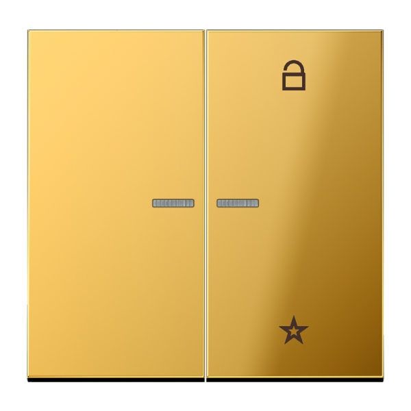 Jung GO1701 Steuertaste Universal Metall goldfarben PVD-beschichtet Serie LS goldfarben