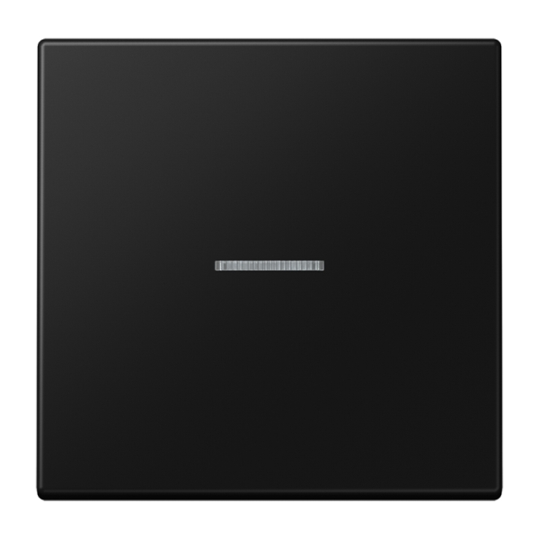 Jung LS101KO5SWM Wippe mit Lichtleiter für Taster 1-fach Serie LS graphitschwarz matt