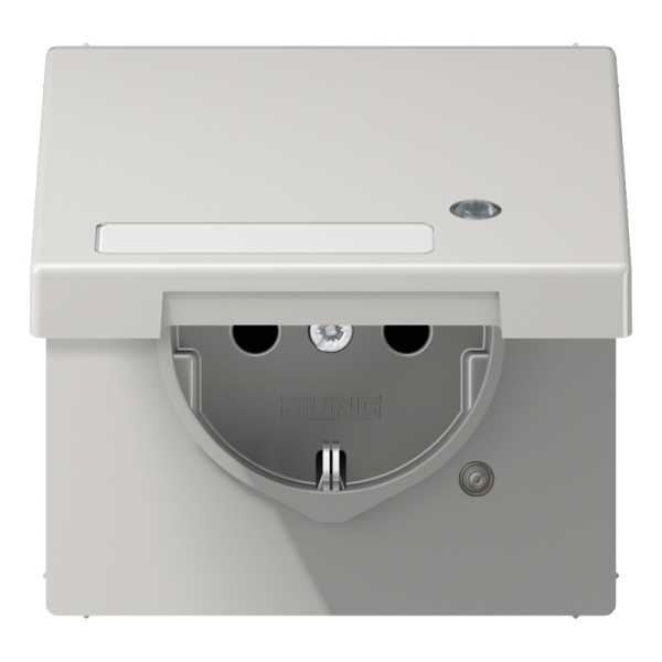 Jung LS1520NAKLKOLG SCHUKO Steckdose 16A 250V mit Funktionsanzeige mit Schriftfeld integrierter erhöhter Berührungsschutz SAFETY+ Klappdeckel Thermoplast Seri