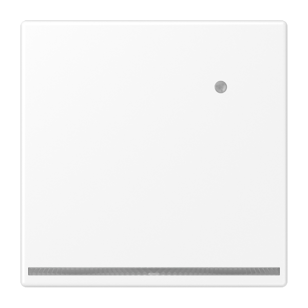 Jung LS1539-OWWMLNW LED-Orientierungslicht mit integriertem Helligkeitssensor Thermoplast lackiert Serie LS schneeweiß matt