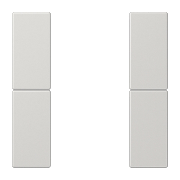 Jung LS502TSALG Tastensatz 2-fach F50 Serie LS lichtgrau