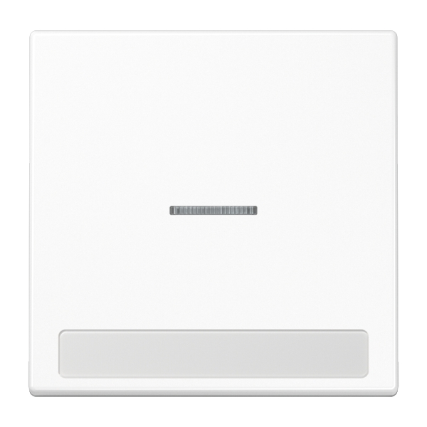 Jung LS990NAKO5WW Wippe 1-fach mit Lichtleiter mit Schriftfeld Duroplast Serie LS alpinweiß