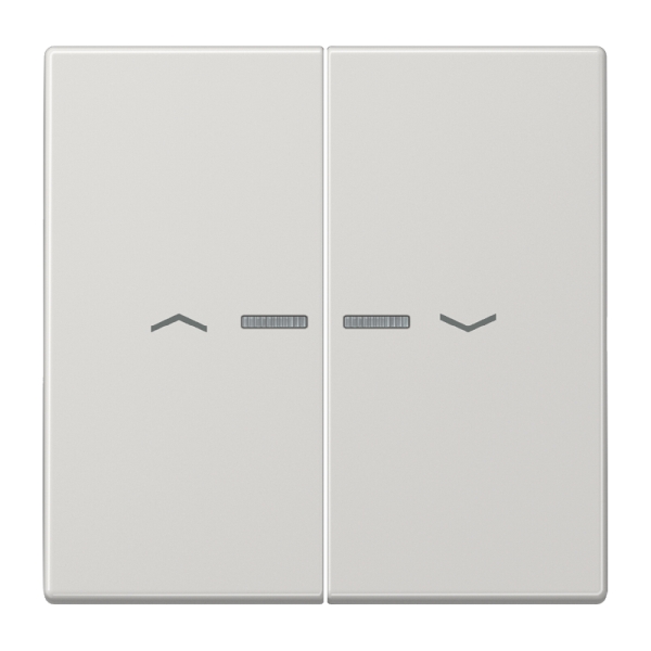 Jung LS995KO5PLG Wippe 2-fach mit Lichtleiter mit Pfeilsymbolen Duroplast Serie LS lichtgrau