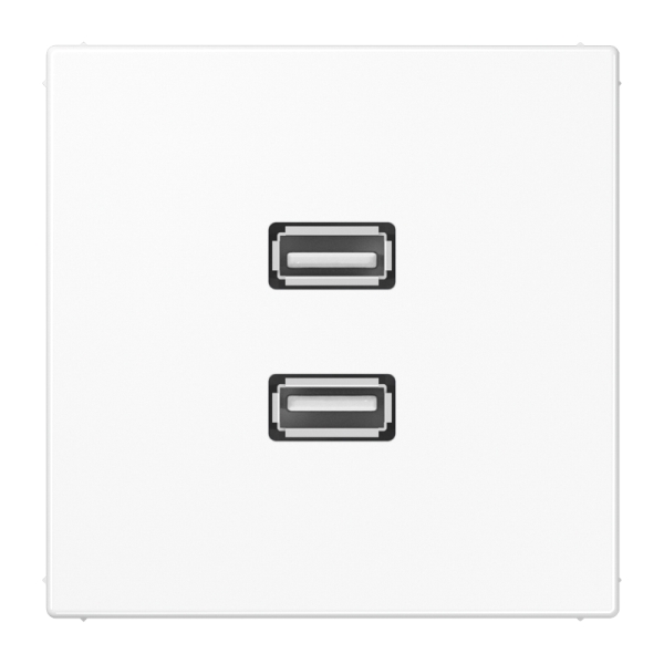 Jung MALS1153WW Multimedia-Anschlusssystem 2xUSB 2.0 Serie LS alpinweiß