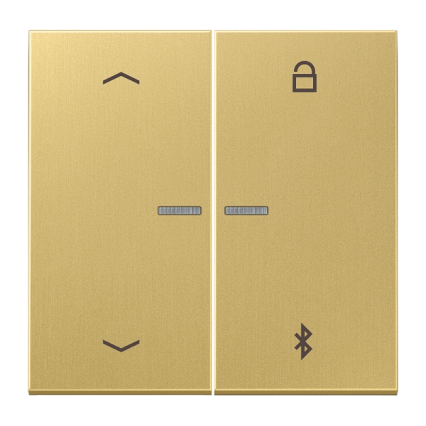 Jung ME1751PBTC LB-ManagementTimer Universal Bluetooth® "Pfeile" Messing Serie LS Messing classic