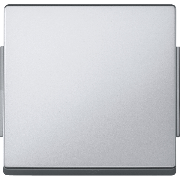 Merten 343160 Wippe aluminium AQUADESIGN