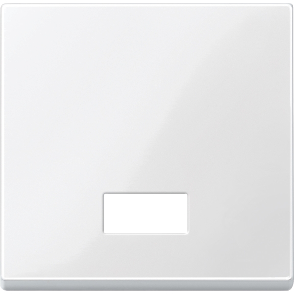 Merten 432819 Wippe mit rechteckigem Symbolfenster polarweiß glänzend System M