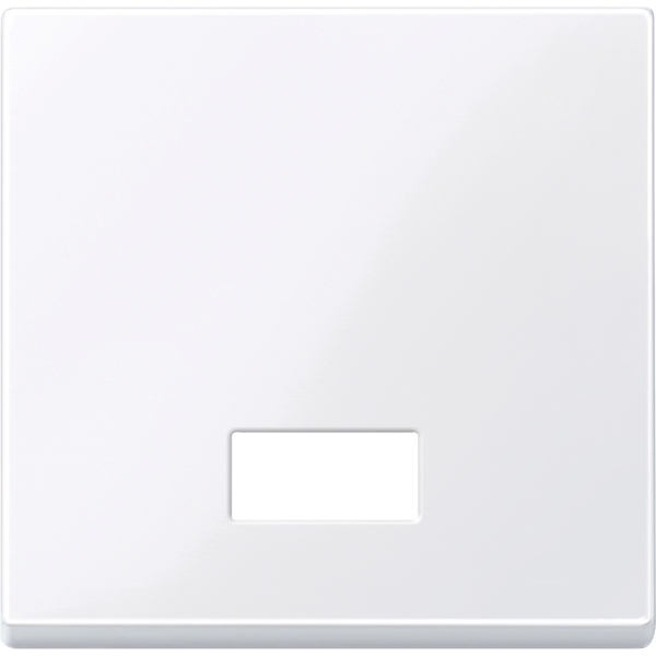 Merten 432825 Wippe mit rechteckigem Symbolfenster aktivweiß glänzend System M
