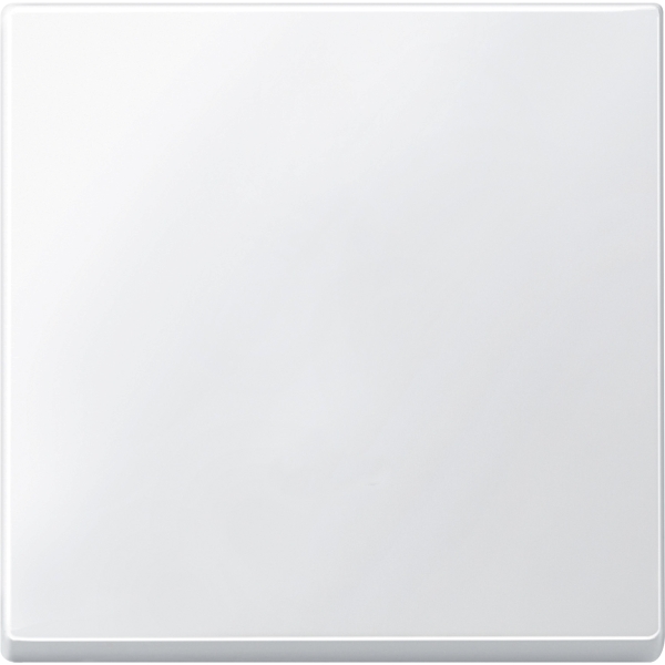Merten 433119 Wippe polarweiß System M