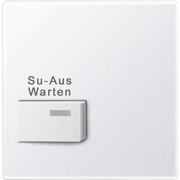 Merten 452319 Zentralplatte für Dienstzimmer-Anzeigeeinheit polarweiß glänzend System M