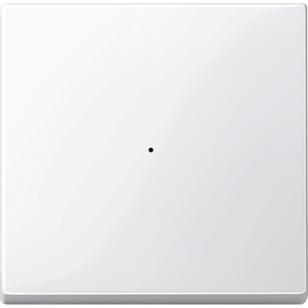 Merten 619119 Wippe für Tastermodul 1-fach polarweiß glänzend System M