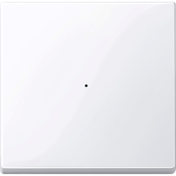 Merten 619125 Wippe für Tastermodul 1-fach aktivweiß glänzend System M